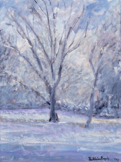 Snow Scene by Patricia Espir